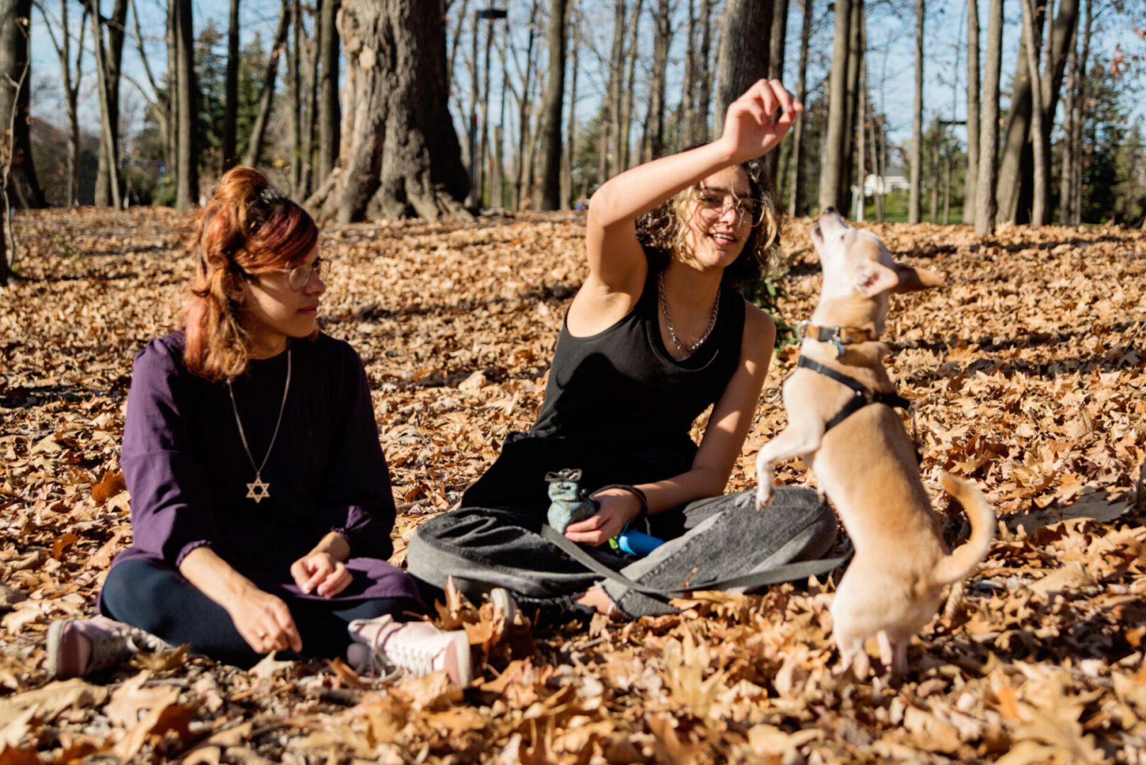 Women playing with dog in autumn leaves