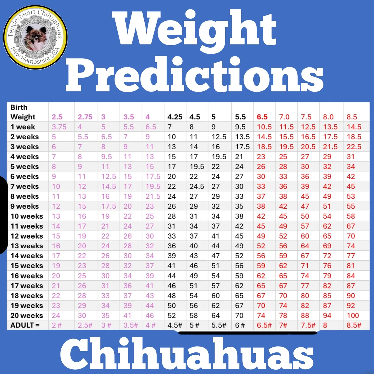 Chihuahua growth table